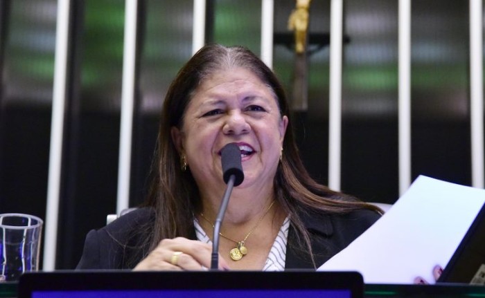 A relatora, deputada Laura Carneiro, recomendou a aprovação da proposta - (Foto: Cleia Viana / Câmara dos Deputados)