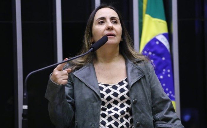 Adriana Ventura propôs o debate na comissão - (Foto: Vinicius Loures/Câmara dos Deputados)