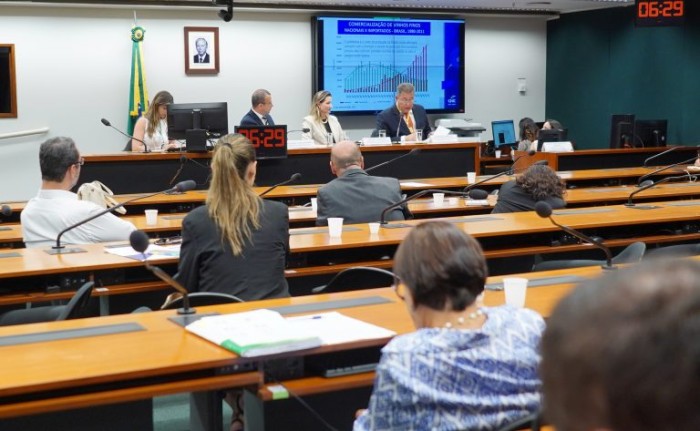 Audiência pública da Comissão de Turismo para discutir o tema - (Foto: Will Shutter / Câmara dos Deputados)