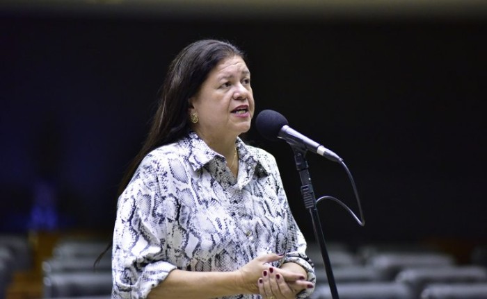 A relatora, deputada Laura Carneiro, recomendou a aprovação da proposta - (Foto: Zeca Ribeiro/Câmara dos Deputados)