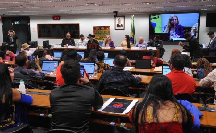 Comissão ouviu representantes do governo e dos povos ciganos - (Foto: Renato Araujo/Câmara dos Deputados)