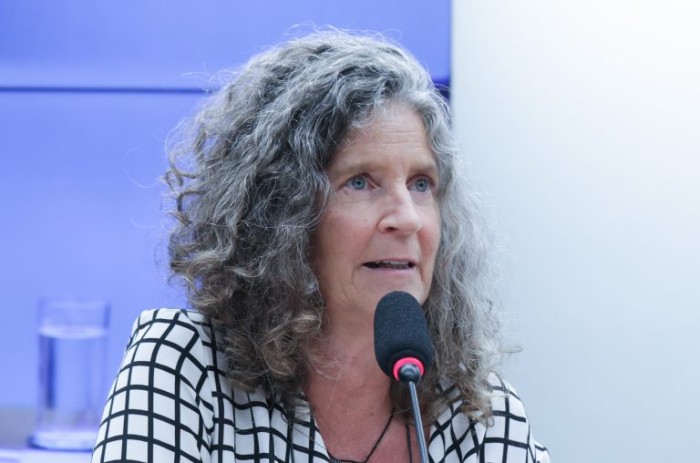 Paula Johns defendeu pacto mundial pela redução da produção de plástico - (Foto: Bruno Spada/Câmara dos Deputados)