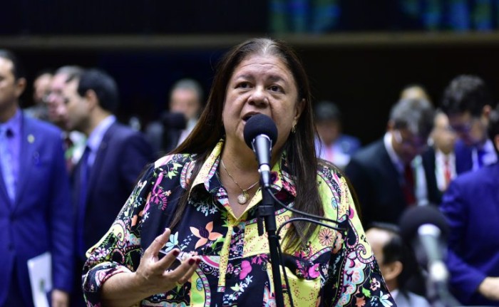 Deputada Laura Carneiro, relatora da proposta - (Foto: Zeca Ribeiro/Câmara dos Deputados)