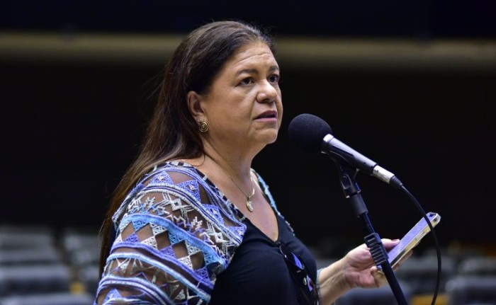 A relatora, deputada Laura Carneiro, recomendou a aprovação da proposta com mudanças - (Foto: Zeca Ribeiro/Câmara dos Deputados)