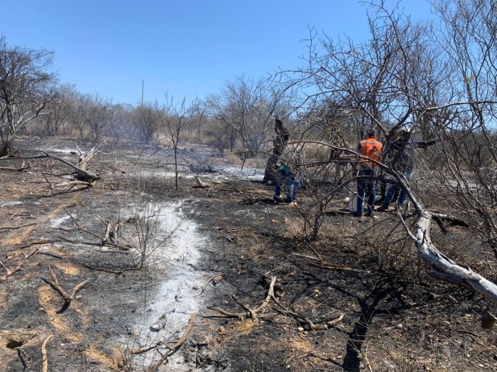 Foto: Reprodução/Prefeitura de Petrolina - PE