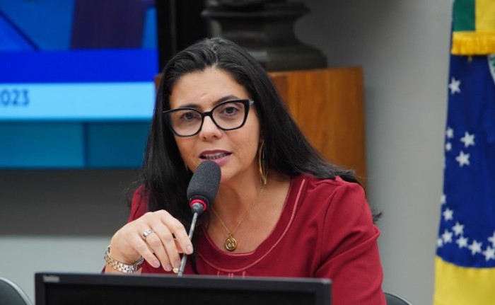 Delegada Ione: vítima será alertada em caso de aproximação do agressor - (Foto: Will Shutter / Câmara dos Deputados)