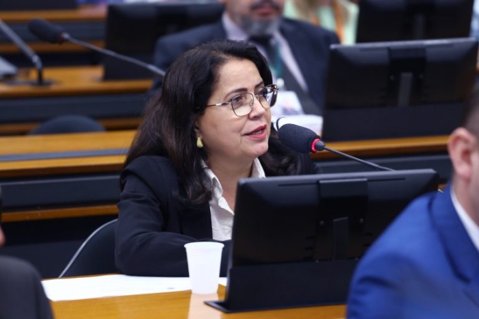 Rosângela Reis quer subsidiar os deputados da CLP para temas ligados à segurança privada - (Foto: Vinicius Loures/Câmara dos Deputados)