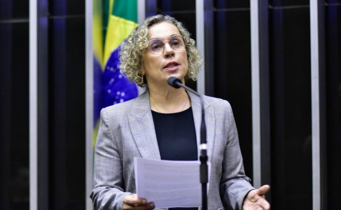 Ana Paula: trauma na pessoa que presenciou a violência pode perdurar por toda vida - (Foto: Zeca Ribeiro / Câmara dos Deputados)