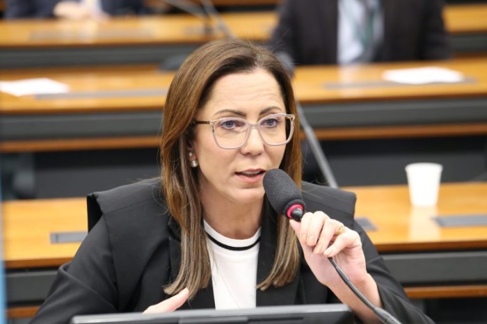 Delegada Katarina foi a relatora na CCJ e defendeu a aprovação da proposta - (Foto: Billy Boss/Câmara dos Deputados)