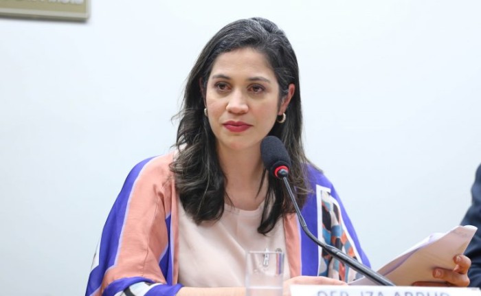 Iza Arruda, relatora do projeto de lei - (Foto: Vinicius Loures/Câmara dos Deputados)
