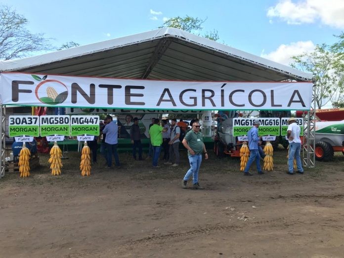 Foto ilustrativa: Ascom/Seagri