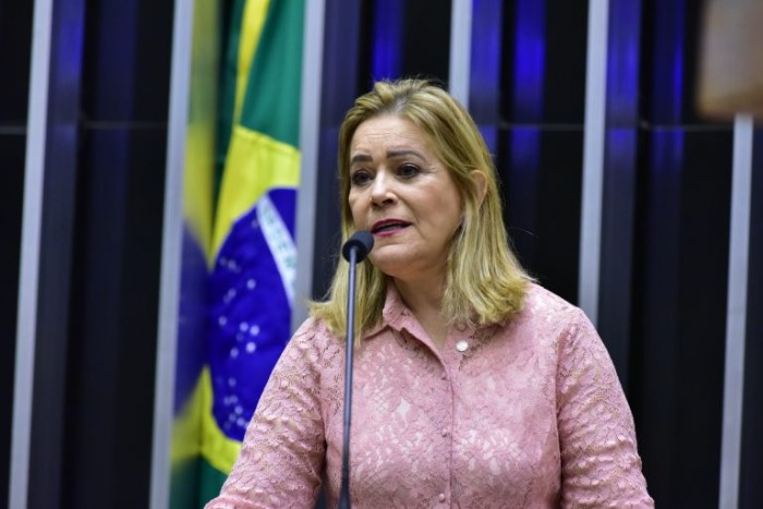 Lêda Borges, relatora da proposta - (Foto: Zeca Ribeiro/Câmara dos Deputados)