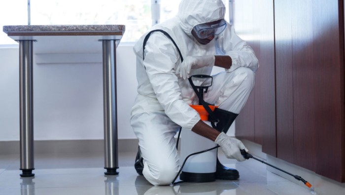 Foto: Reprodução/Prefeitura Mun. Vitória da Conquista - BA