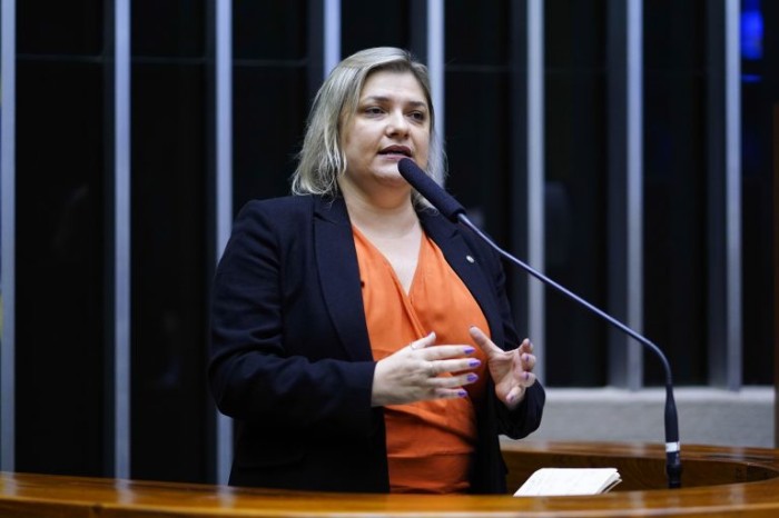 Luciene Cavalcante quer identificar desafios no avanço da inclusão escolar - (Foto: Pablo Valadares / Câmara dos Deputados)