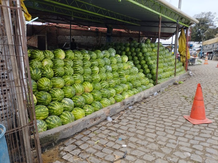 Foto: Reprodução/Prefeitura de Caruaru - PE