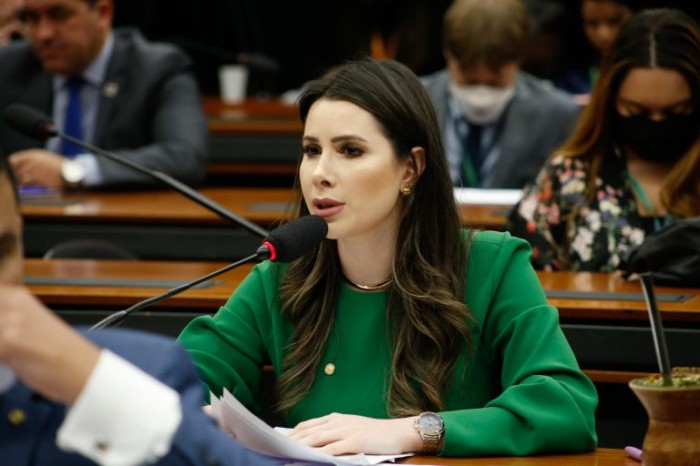 Caroline de Toni é a autora do requerimento para a realização da audiência - (Foto: Elaine Menke/Câmara dos Deputados)