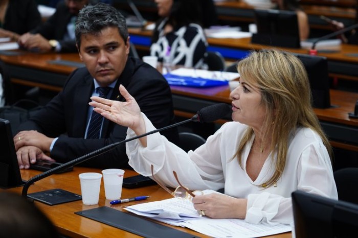 A relatora na comissão, Flávia Morais, apresentou substitutivo - (Foto: Pablo Valadares/Câmara dos Deputados)