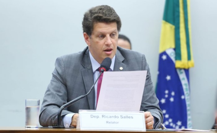 Ricardo Salles lê um resumo do parecer - (Foto: Vinicius Loures/Câmara dos Deputados)