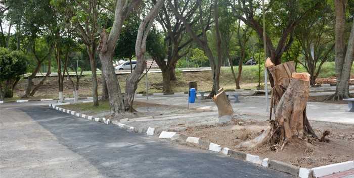 Foto: Reprodução/Prefeitura de Feira de Santana - BA