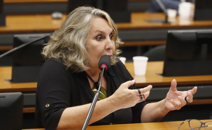 Eirka Kokay é a autora do requerimento para a audiência - (Foto: Gilmar Félix / Câmara dos Deputados)