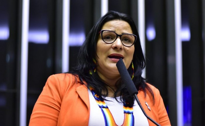 Juliana Cardoso é a autora do requerimento para a realização da audiência - (Foto: Zeca Ribeiro/Câmara dos Deputados)