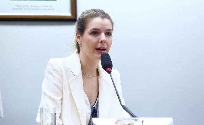 Deputada Luisa Canziani, relatora da proposta na comissão - (Foto: Vinicius Loures/Câmara dos Deputados)