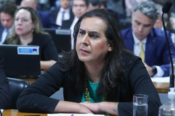 Duda Salabert fez alterações para garantir maior clareza ao texto - (Foto: Bruno Spada/Câmara dos Deputados)