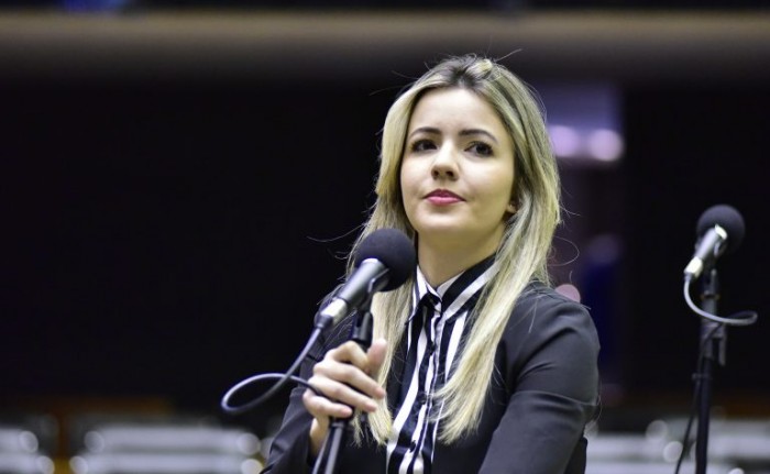 Flavinha: medida vai fortalecer o sistema de proteção e garantir atendimento humanizado - (Foto: Zeca Ribeiro/Câmara dos Deputados)