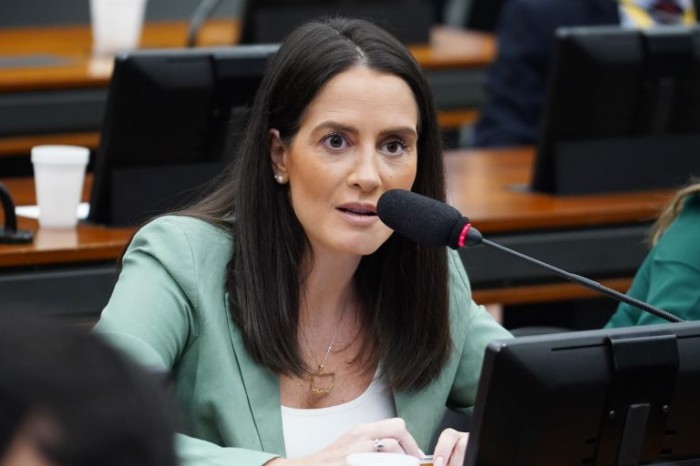 Amália Barros é a autora do requerimento para a realização da audiência - (Foto: Pablo Valadares / Câmara dos Deputados)