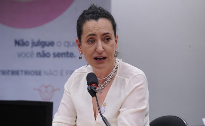Rosângela Moro é a autora do requerimento para a realização da audiência - (Foto: Renato Araújo/Câmara dos Deputados)