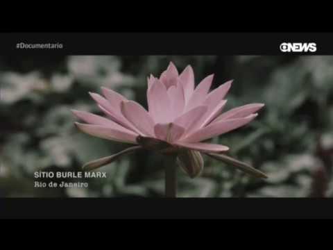 'Gabeira', documentário sobre Fernando Gabeira