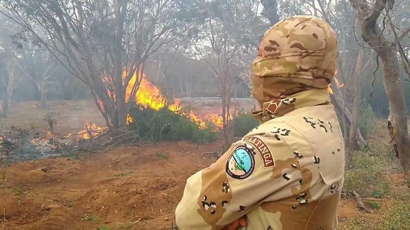 1 CIPE CAATINGA - A GUARDIÃ DO SERTÃO BAIANO - CPAC
