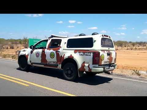 CIPE CAATINGA (GUARDIÃ DO SERTÃO BAIANO)